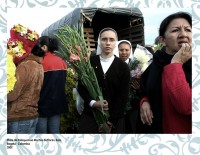 /album/reporteria/a001-90-jpg/